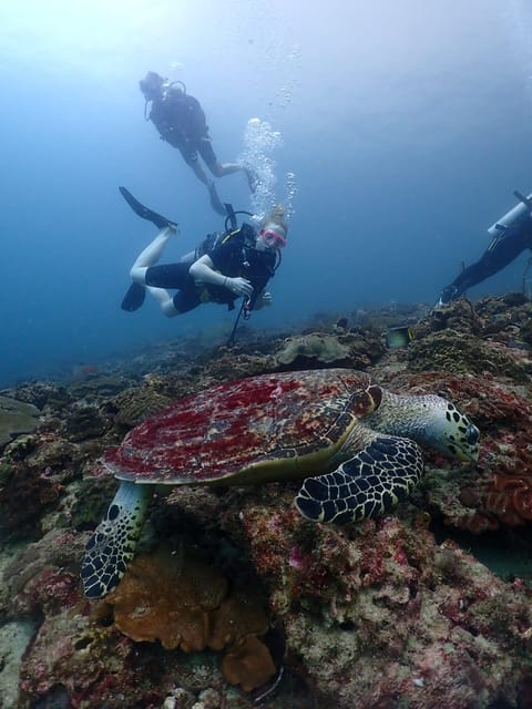 Phuket: Scuba Diving With Seawave Diving Center - Discovering Phukets Underwater Wonders