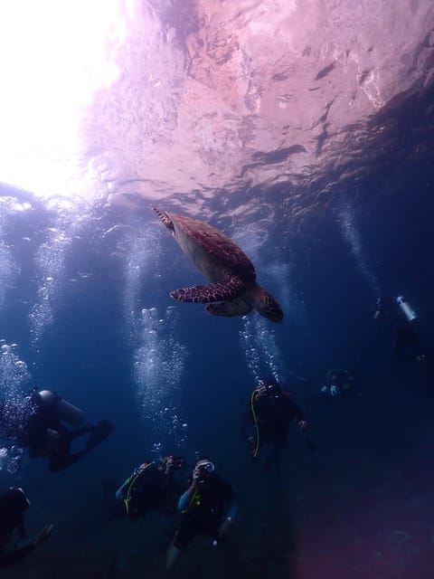 Phuket: Scuba Diving With Seawave Diving Center - Frequently Asked Questions