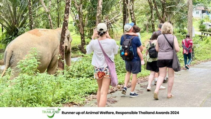 Phuket: Sea Turle Center,Temples,Tsunami & Elephant and More - An Honest Breakdown: What the Tour Entails
