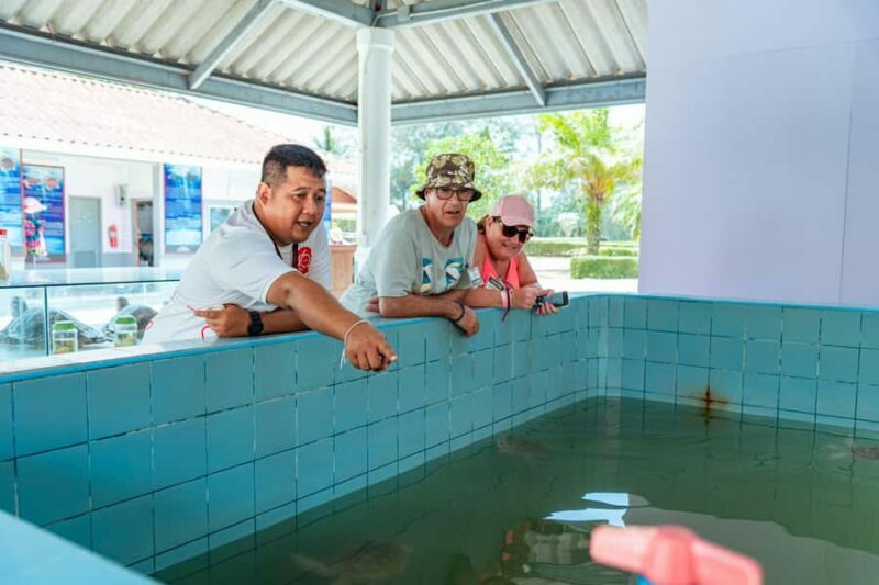 Phuket: Sea Turle Center,Temples,Tsunami & Elephant and More - Final Thoughts