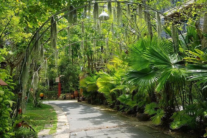Phuket Self-Guided Audio Tour - Access and Navigation