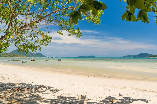 Phuket Shore Excursion - Private City Tour for Cruise Arrival (SHA Plus) - Health and Safety Measures