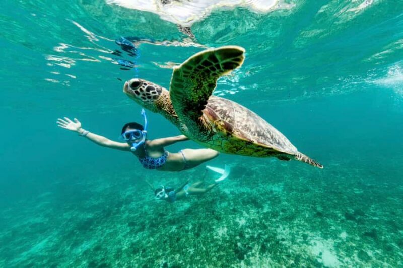 Phuket: Similan Day Trip by Speedboat - The Return and Reflection