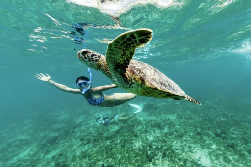 Phuket: Similan Day Trip by Speedboat - What to Expect and Why It Matters