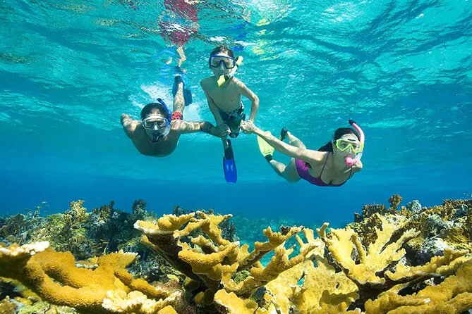 Phuket Similan Island Andaman Ocean Tour by Van and Speedboat - Additional Information