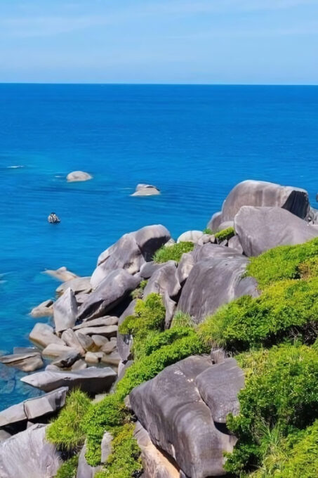 Phuket: Similan Island by Speedboat - Dining Options