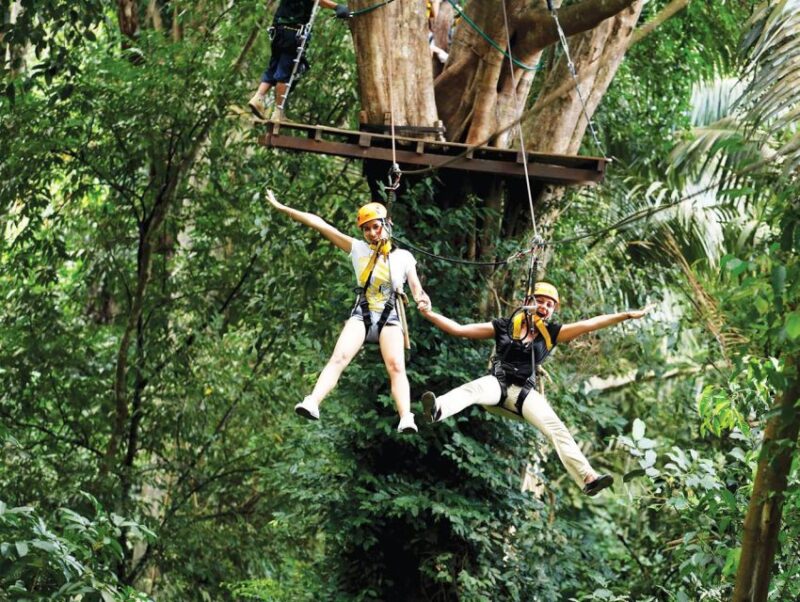 Phuket Skyline Adventure Ziplines - Key Points