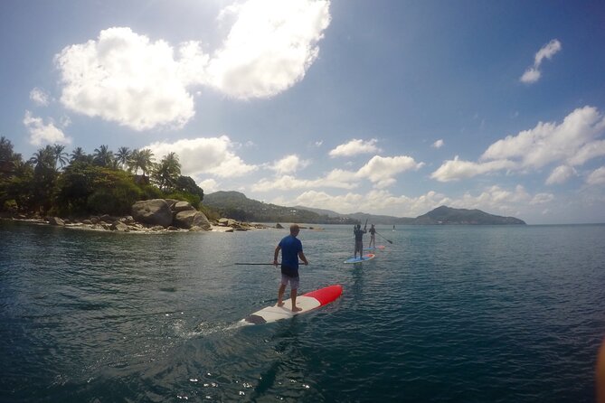 Phuket Stand Up Paddle Board Tour - Paddle Board Features