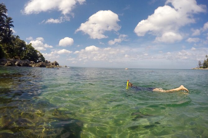 Phuket Stand Up Paddle Board Tour - Tour Highlights