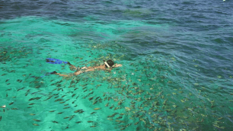 Phuket: Sunrise Cruise At Khai Islands - Boat Cruise to the Islands