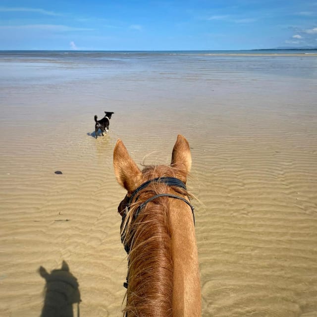 Phuket Sunset Beach Horseback Journey - Key Points