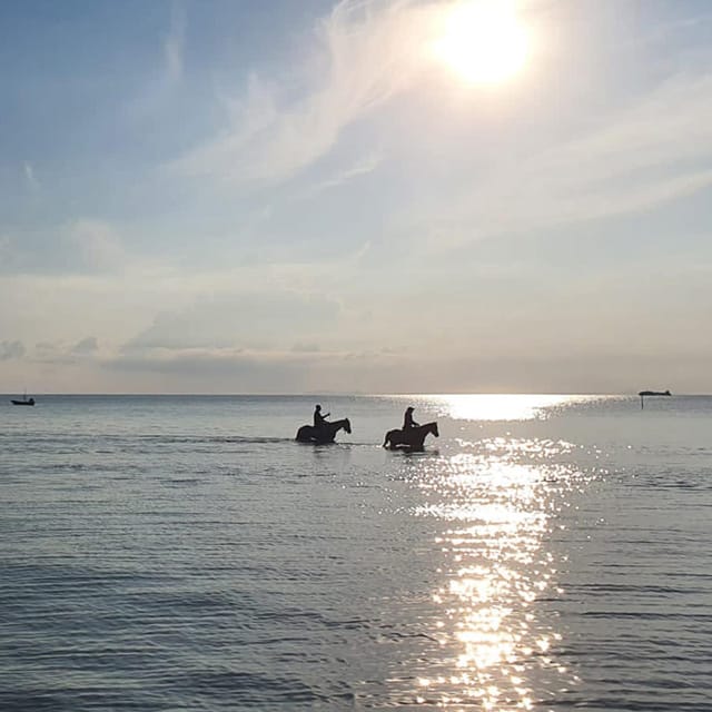 Phuket Sunset Beach Horseback Journey - Highlights