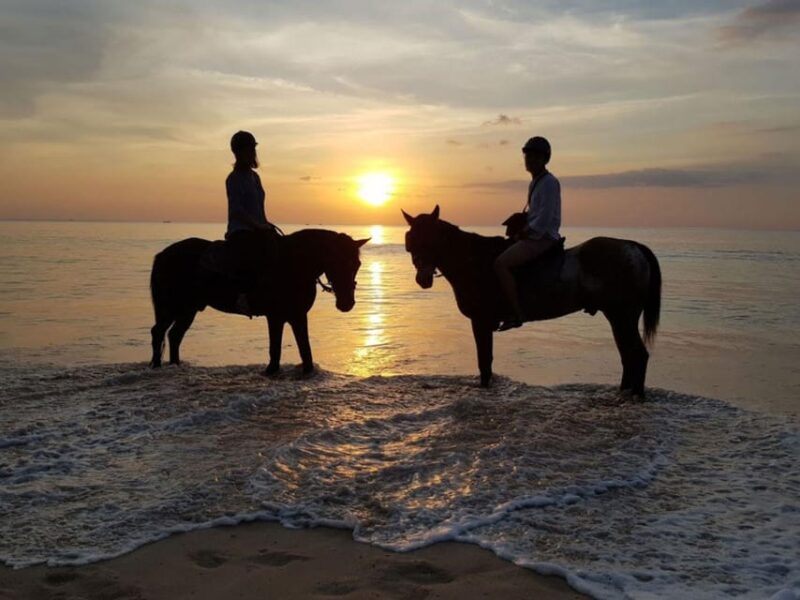 Phuket Sunset Beach Horseback Journey - Inclusions