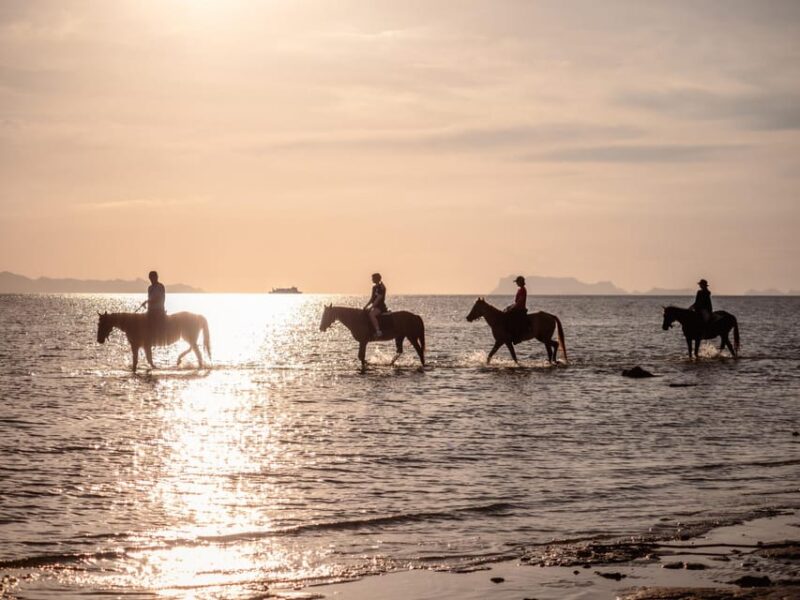 Phuket Sunset Beach Horseback Journey - Exclusions
