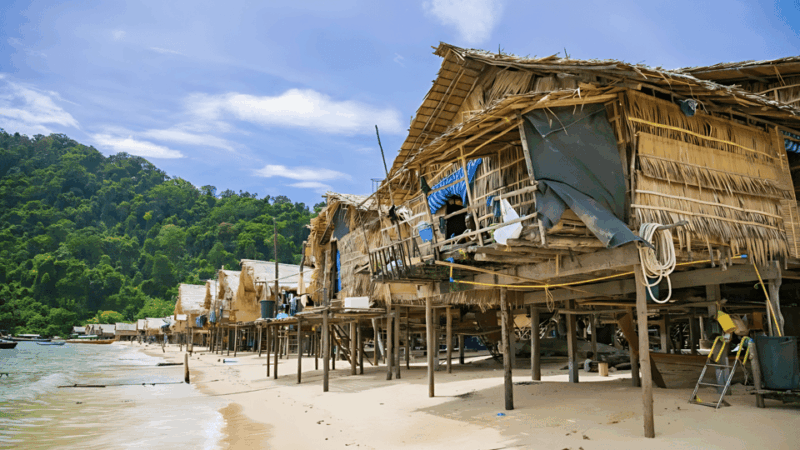 Phuket : Surin Island by Speedboat - Vibrant Marine Life and Sightings