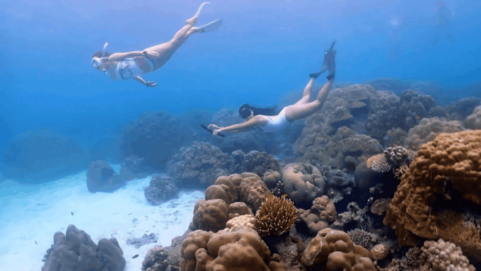 Phuket : Surin Island by Speedboat - Reserve Now and Pay Later