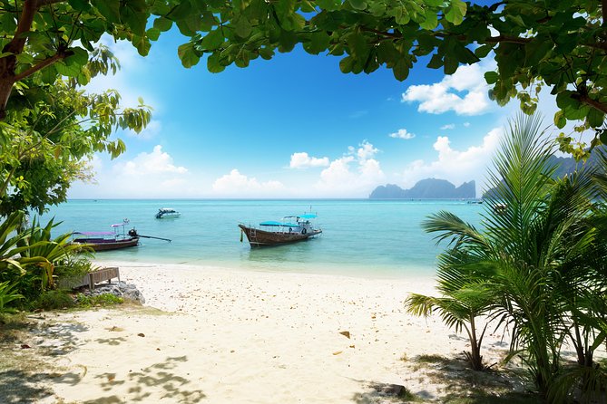 Phuket to Phi Phi Islands by Express Ferry Including Lunch - Good To Know