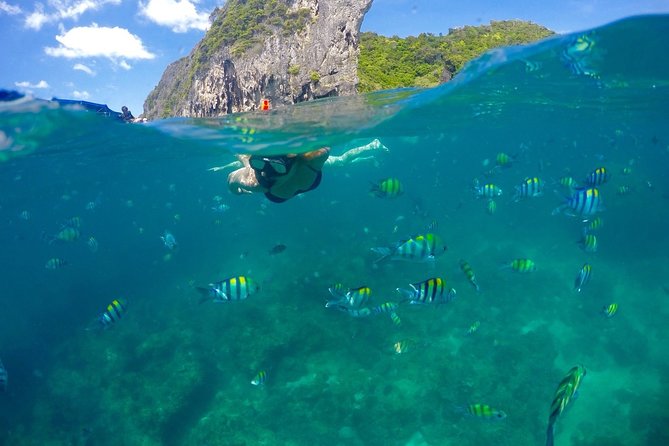 Phuket to Phi Phi Islands by Express Ferry Including Lunch - Accessibility and Weather Policy