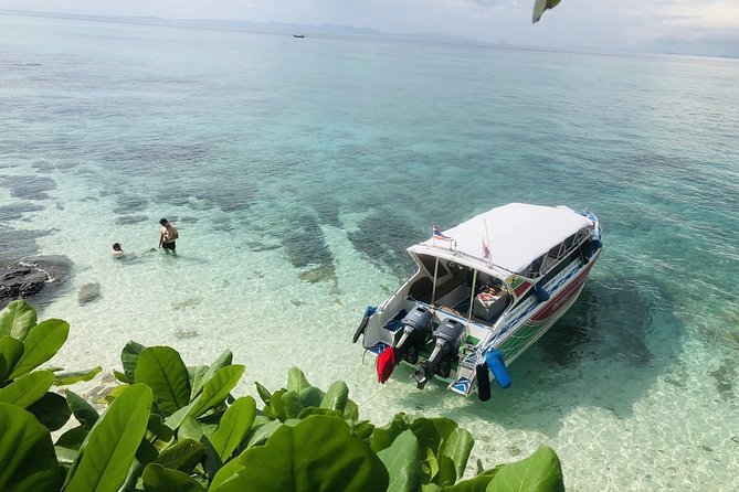 Phuket to Phi Phi Islands by Express Ferry Including Lunch - Customer Feedback and Suggestions