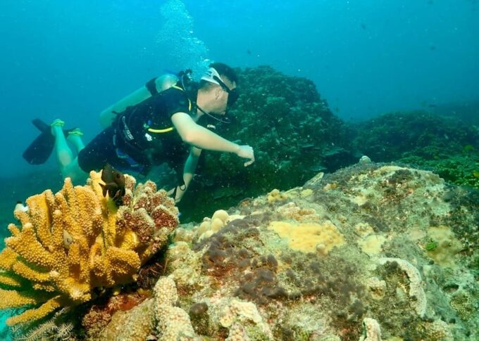 Phuket: Try SCUBA DIVING Full Day Experience 2 Dives - Dive With Ssi-Accredited Instructors