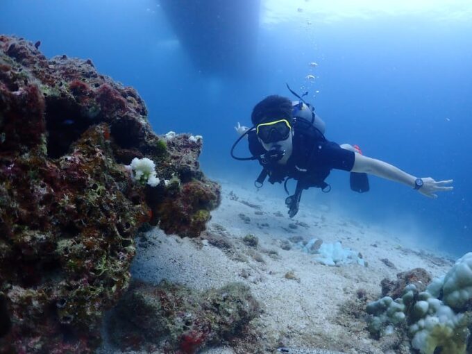 Phuket: Try SCUBA DIVING Full Day Experience 2 Dives - Experience the Magic of Racha Island