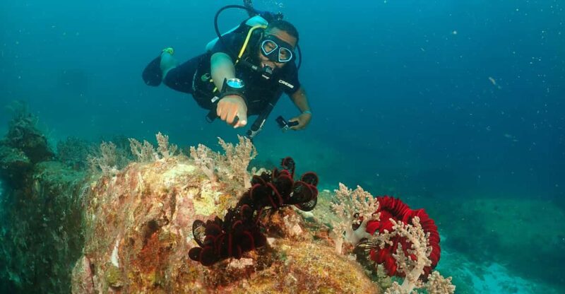 Phuket: Try SCUBA DIVING Full Day Experience 3 Dives - Inclusions and Exclusions