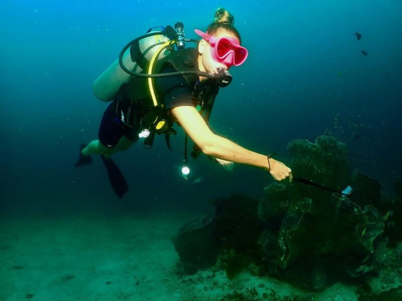 Phuket: Try SCUBA DIVING Full Day Experience 3 Dives - Van Transfer and Boat Cruise