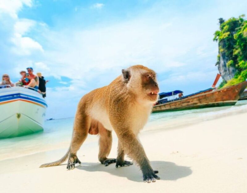Phuket: VIP Private Boat to Phi Phi Island: Snorkeling Tour - Itinerary Highlights