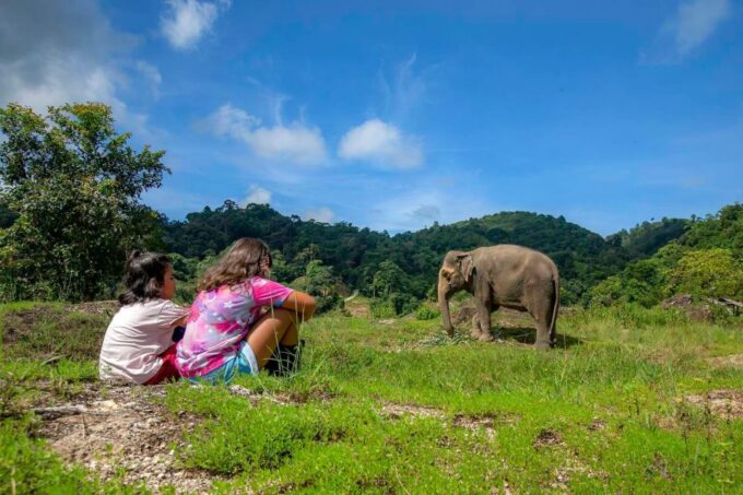 Phuket: Walk and Feed Ethical Elephant Nature Park Tour - Additional Recommendations