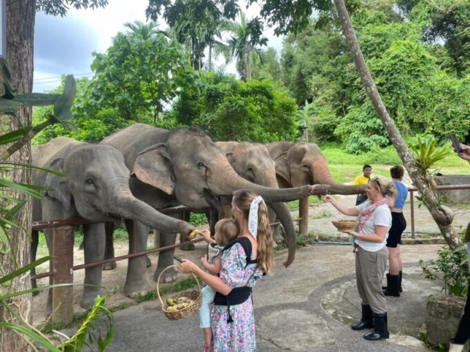 Phuket: Walk and Feed Ethical Elephant Nature Park Tour - Frequently Asked Questions