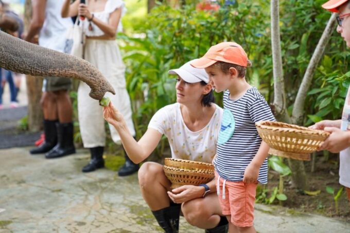 Phuket: Walk and Feed Ethical Elephant Nature Park Tour - Ethical Considerations