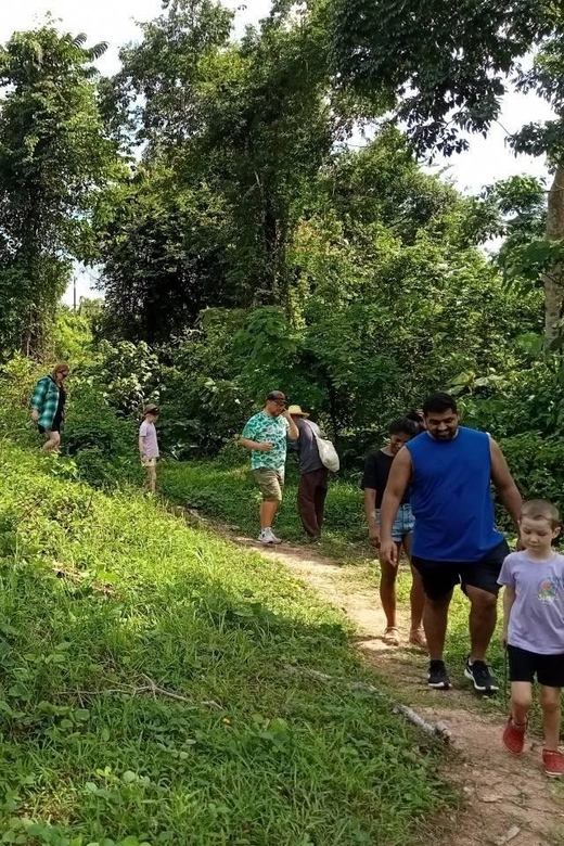 Phuket: Walk and Plant at Elephant Nature Park Visit - Elephants Behavior and Habits