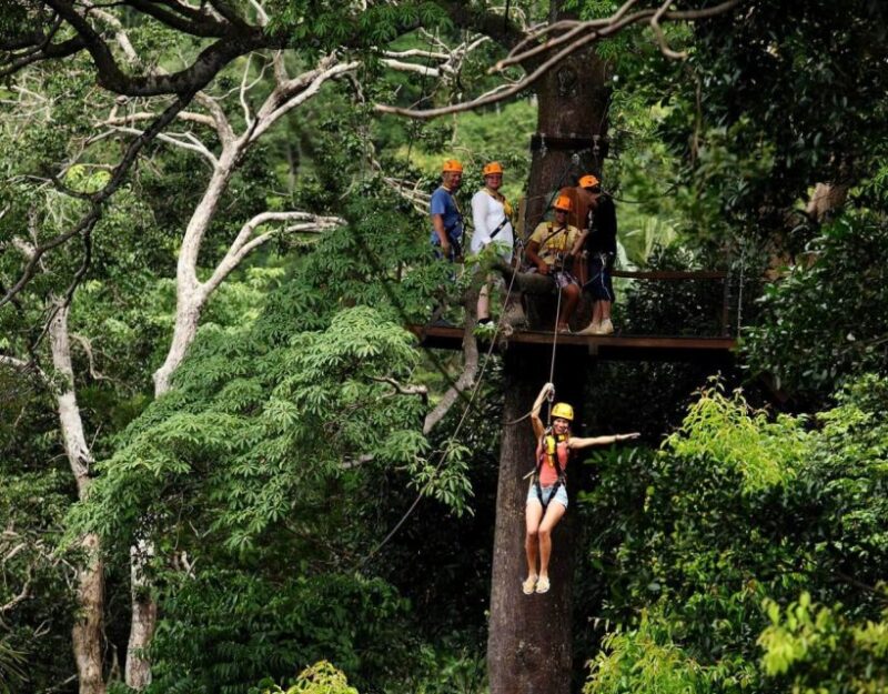 Phuket Zip-line Experience (Half-Day) - Transportation and Logistics