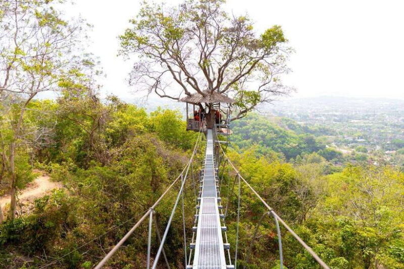 Phuket: Zipline Flying Higher Than a Hawk With ATV Option - Navigating the Lush Jungle Canopy