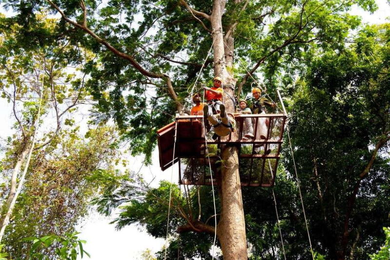 Phuket: Zipline Flying Higher Than a Hawk With ATV Option - Customer Testimonials and Ratings