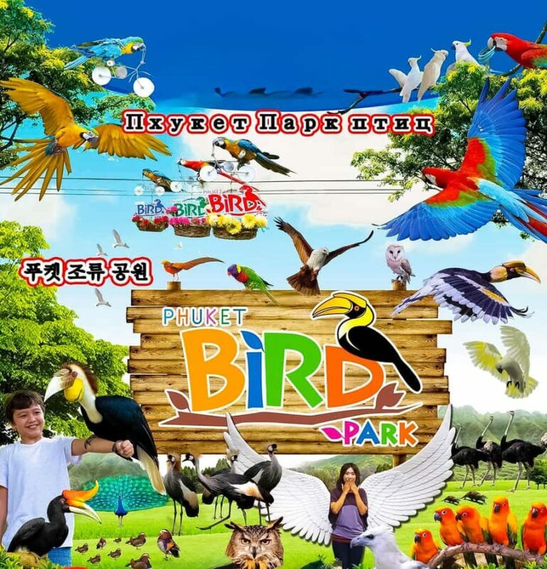 Phuket:ATV Adventure & Bird Park in Forest View Big Buddha - Value and Practical Tips