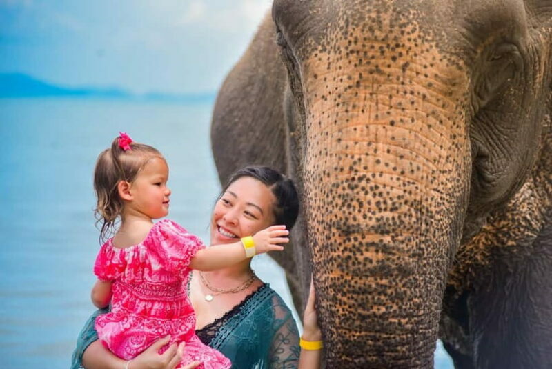 Phuket:Beach walk with elephants, rain & care. 2.5 hours - An Honest Look at Lily Elephant Camp Phuket