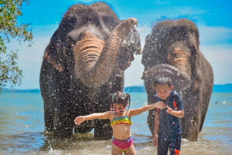 Phuket:Beach walk with elephants, rain & care. 2.5 hours - Who Would Love This Tour?