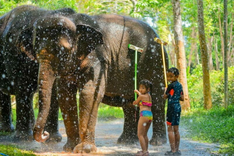 Phuket:Beach walk with elephants, rain & care. 2.5 hours - Practical Tips for Visitors