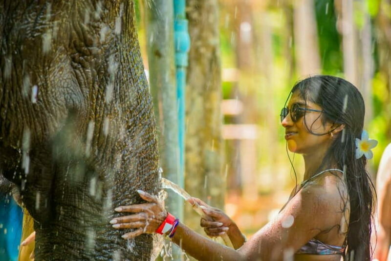 Phuket:Beach walk with elephants, rain & care. 2.5 hours - FAQs