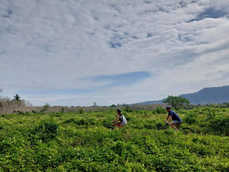 Phukets Hidden Trails Biking Adventure Small-Group Tour - Itinerary and Experience