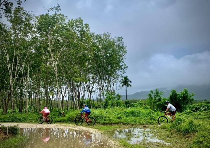 Phukets Hidden Trails Biking Adventure Small-Group Tour - Important Information