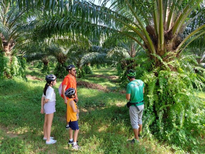 Phukets Hidden Trails Biking Adventure Small-Group Tour - Transportation and Meeting Point