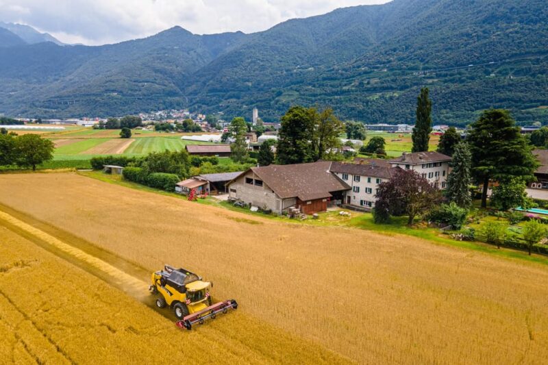 Piano Di Magadino: Organic Malt Production and Beer Tasting - Key Points