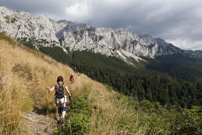 Piatra Craiului National Park Private Hiking Tour From Brasov - Key Points