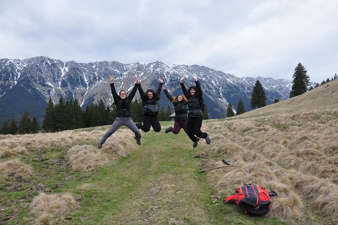 Piatra Craiului National Park Private Hiking Tour From Brasov - Tour Details and Inclusions