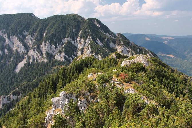 Piatra Craiului National Park Private Hiking Tour From Brasov - Meeting and Pick-up Information