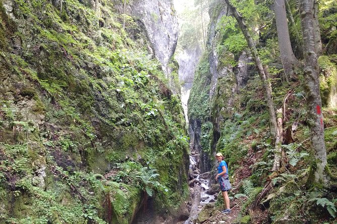 Piatra Craiului National Park Private Hiking Tour From Brasov - What to Expect on the Hike