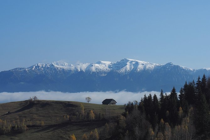 Piatra Craiului National Park Private Hiking Tour From Brasov - Suitable Clothing and Gear