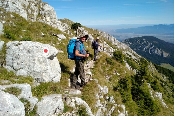 Piatra Craiului National Park Private Hiking Tour From Brasov - Cancellation Policy and Refunds
